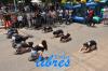 Fotogaleras Todolibres.com.ar