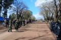 Todo Libres