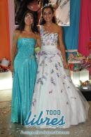 lbum de fotos cumple Brenda Francia Torres