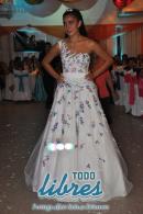 lbum de fotos cumple Brenda Francia Torres