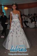 lbum de fotos cumple Brenda Francia Torres