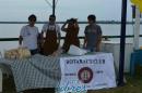 lbum de fotos campaa de concientizacin don mdula sea