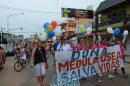 lbum de fotos campaa de concientizacin don mdula sea