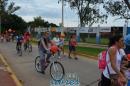 lbum de fotos campaa de concientizacin don mdula sea