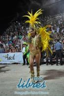 lbum de fotos de Carumb primera noche de corsos oficiales
