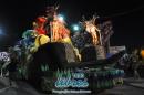 lbum de fotos de Carumb primera noche de corsos oficiales