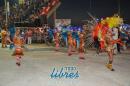 lbum de fotos de Carumb primera noche de corsos oficiales