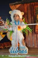 lbum de fotos de Carumb primera noche de corsos oficiales