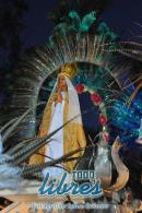 lbum de fotos de Carumb primera noche de corsos oficiales