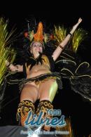 lbum de fotos de Carumb primera noche de corsos oficiales