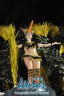 lbum de fotos de Carumb primera noche de corsos oficiales