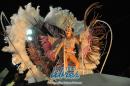 lbum de fotos Comparsa Tradicin Primera Noche