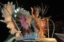 lbum de fotos Comparsa Tradicin Primera Noche