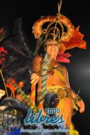 lbum de fotos Comparsa Tradicin Primera Noche
