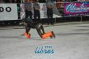 lbum de fotos Comparsa Tradicin Primera Noche
