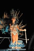 lbum de fotos Comparsa Tradicin Primera Noche