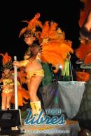 lbum de fotos de Tradicin segunda noche de corso oficial