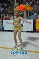 lbum de fotos de Tradicin segunda noche de corso oficial