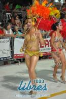 lbum de fotos de Tradicin segunda noche de corso oficial