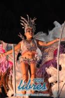 lbum de fotos de Tradicin segunda noche de corso oficial