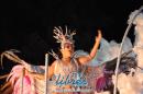 lbum de fotos de Tradicin segunda noche de corso oficial