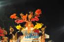 lbum de fotos de Tradicin segunda noche de corso oficial
