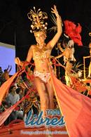 lbum de fotos de Tradicin segunda noche de corso oficial