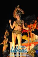 lbum de fotos de Tradicin segunda noche de corso oficial