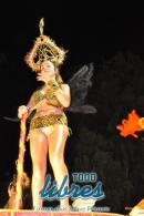 lbum de fotos de Tradicin segunda noche de corso oficial