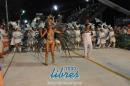 lbum de fotos de Tradicin segunda noche de corso oficial