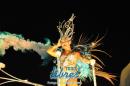 lbum de fotos de Tradicin segunda noche de corso oficial