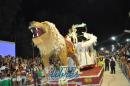 lbum de fotos de Tradicin segunda noche de corso oficial