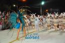 lbum de fotos de Tradicin segunda noche de corso oficial