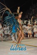 lbum de fotos de Tradicin segunda noche de corso oficial