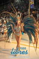 lbum de fotos de Tradicin segunda noche de corso oficial