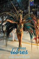 lbum de fotos de Tradicin segunda noche de corso oficial