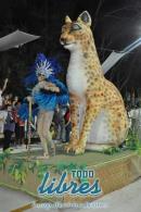 lbum de fotos de Zum Zum segunda noche de corso oficial