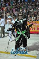 lbum de fotos de Zum Zum segunda noche de corso oficial