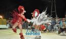 lbum de fotos de Carumb tercer noche de corso oficial