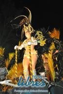 lbum de fotos de Carumb tercer noche de corso oficial