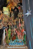 lbum de fotos de Carumb tercer noche de corso oficial