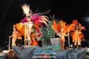 lbum de fotos de Tradicin tercer noche de corso oficial