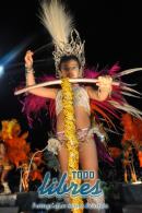 lbum de fotos de Tradicin tercer noche de corso oficial