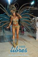 lbum de fotos de Tradicin tercer noche de corso oficial