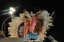 lbum de fotos de Tradicin tercer noche de corso oficial