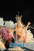 lbum de fotos de Tradicin tercer noche de corso oficial
