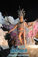 lbum de fotos de Tradicin tercer noche de corso oficial
