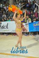 lbum de fotos de Tradicin tercer noche de corso oficial