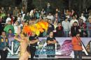 lbum de fotos de Tradicin tercer noche de corso oficial