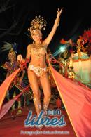 lbum de fotos de Tradicin tercer noche de corso oficial
